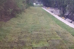 65 Land and site clearing services