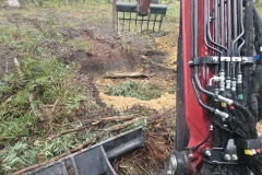 24 Land clearing service in Mandalong